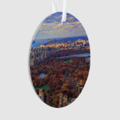 Aussicht von oben: Herbst im Central Park 01 Ornament (Vorderseite)