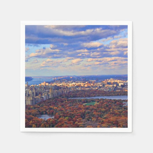 Aussicht von oben: Herbst im Central Park 01 Serviette (Vorderseite)