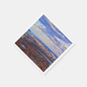 Aussicht von oben: Herbst im Central Park 01 Serviette (Ecke)