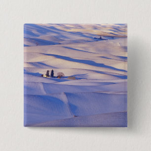 Aussicht von Steptoe Butte auf die Hügel Button