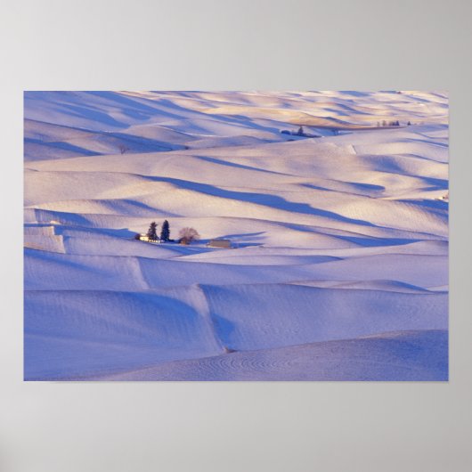 Aussicht von Steptoe Butte auf sanfte Hügel Poster (Vorne)