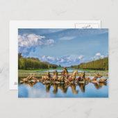 Aussicht von Versailles, Frankreich, Postkarte (Vorne/Hinten)