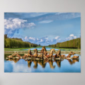 Aussicht von Versailles, Frankreich, Print Poster (Vorne)