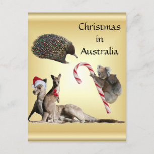 Aussie Animal Christmas anpassbar Feiertagspostkarte