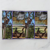 Aussie Annals Foto Collage, Karte (Innenseite)