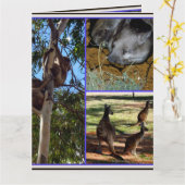 Aussie Annals Foto Collage, Karte (Gelbe Blume)