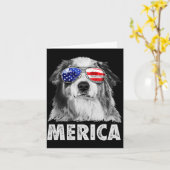 Aussie australian shepherd 4. Juli Merica Karte (Gelbe Blume)