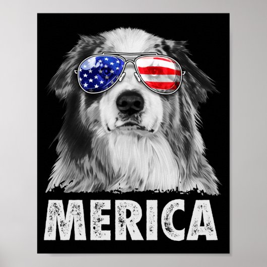 Aussie australischer Schäferhund 4. Juli Merica Poster (Vorne)
