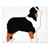 aussie black tri silo fotodruck (Vorne)