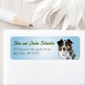 Aussie Blue Merle Address Label (Insitu)