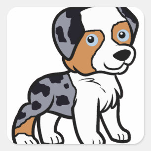 aussie blue merle Cartoon Quadratischer Aufkleber