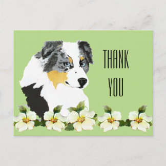 Aussie Blue Merle Dog Vielen Dank Postcard Postkarte