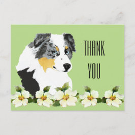 Aussie Blue Merle Dog Vielen Dank Postcard Postkarte