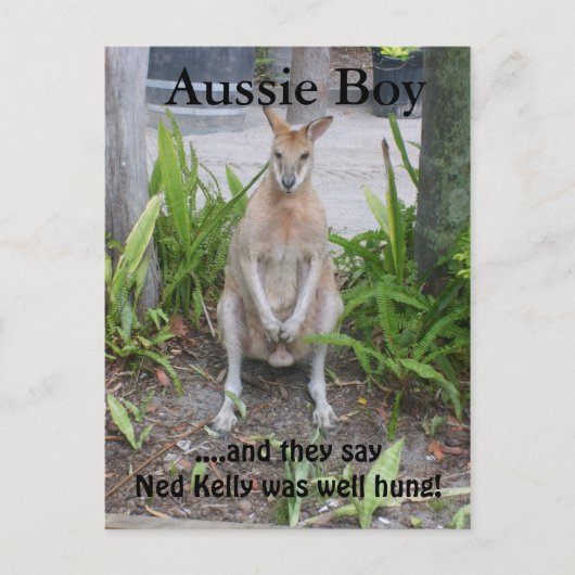Aussie Boy, Postkarte (Vorderseite)
