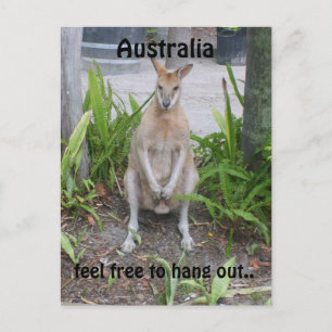 Aussie Boy, Postkarte