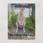Aussie Boy, Postkarte (Vorderseite)