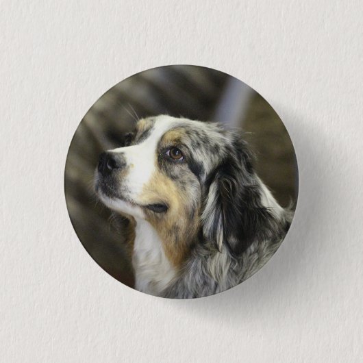 Aussie Button (Vorderseite)