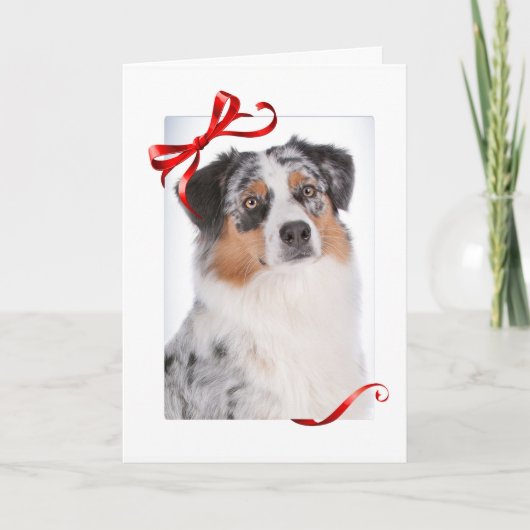 Aussie Christmas Card Feiertagskarte (Vorderseite)