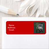 Aussie Christmas Koala mit Candy Cane (Insitu)