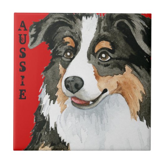 Aussie Color Block Fliese (Vorderseite)