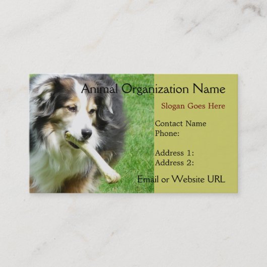 Aussie Dog Business Card Visitenkarte (Vorderseite)