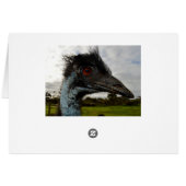Aussie Emu Attraktion, Geburtstagskarte (Rückseite Horizontal)