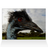 Aussie Emu Attraktion, Geburtstagskarte (Innenansicht Horizontal (Oben))