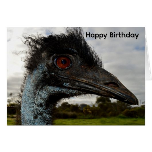 Aussie Emu Attraktion, Geburtstagskarte (Vorderseite (Horizontal))