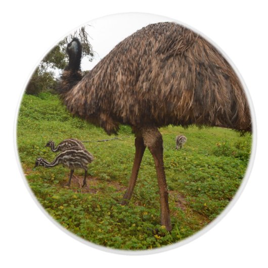 Aussie Emu mit Chicks, Keramikknauf (Vorderseite)