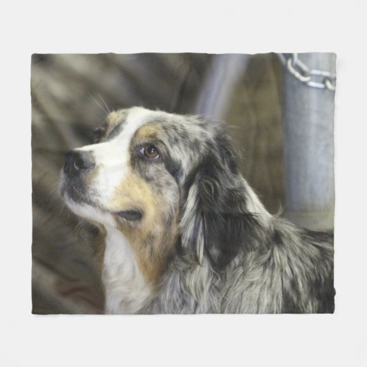 Aussie Fleecedecke (Vorderseite (Horizontal))