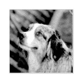 Aussie Gummistempel (Prägung)