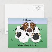 Aussie - I Herd Deshalb bin ich Postkarte (Vorne/Hinten)