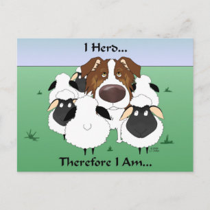 Aussie - I Herd Deshalb bin ich Postkarte