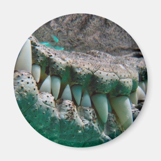 Aussie Icon - Big Croc Terry 2 - Magnet (Vorne)