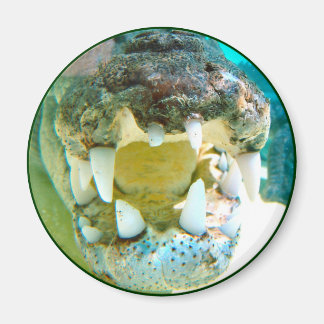 Aussie Icon - Big Croc Terry - Magnet