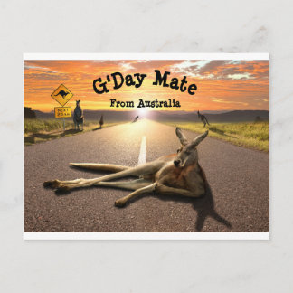Aussie Kangaroo Postcard Postkarte