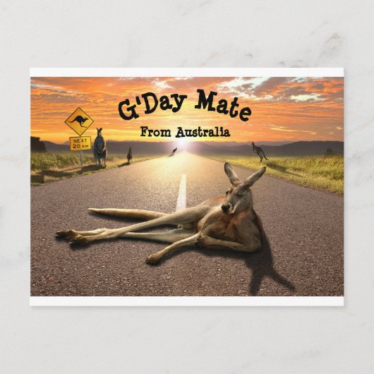 Aussie Kangaroo Postcard Postkarte (Vorderseite)