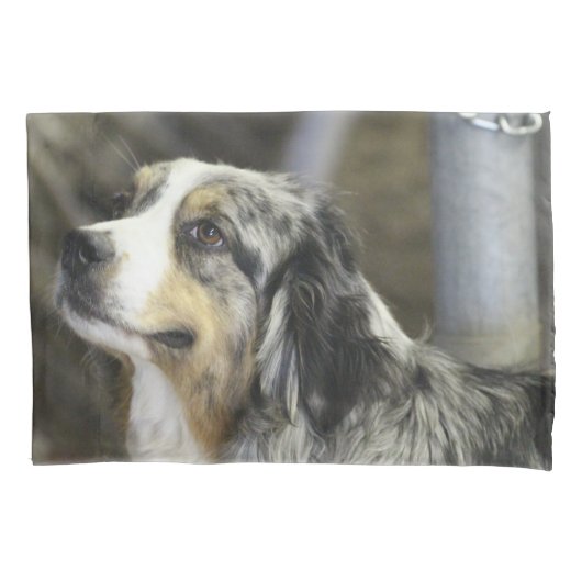 Aussie Kissenbezug (Vorderseite)