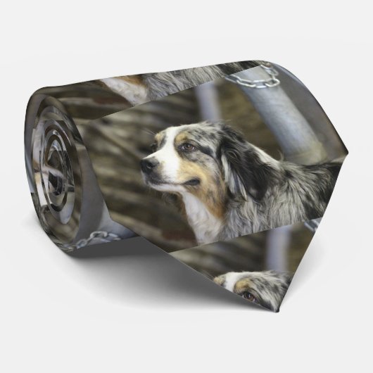 Aussie Krawatte (Gerollt)