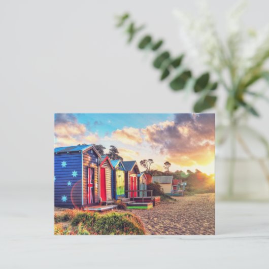 Aussie Life Postkarte (Stehend Vorderseite)