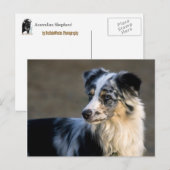 Aussie Looking Links Postkarte (Vorne/Hinten)