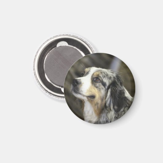 Aussie Magnet (Vorderseite/Rückseite)