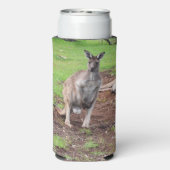 Aussie Male Kangaroo, Selters Dosenkühler (Seltzer Rückseite)