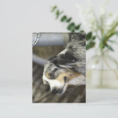 Aussie Postkarte (Stehend Vorderseite)