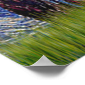 Aussie Shep (Tri2) - Starry Night Poster (Ecke)