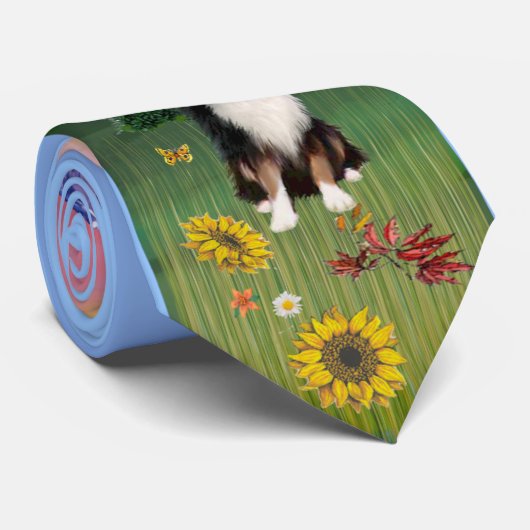 Aussie Shepherd 2 - Mountain Country (JF) Krawatte (Gerollt)