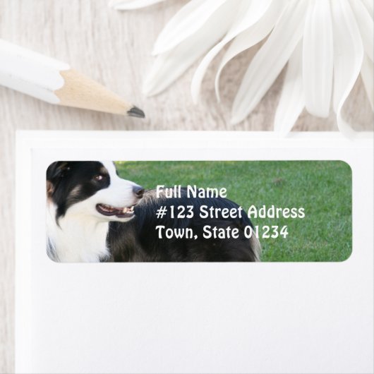 Aussie Shepherd Rücksendeadresse Mailing Labels (Insitu)