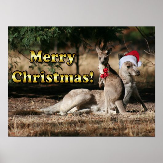 Aussie Style Christmas Kangaroos Poster (Vorne)