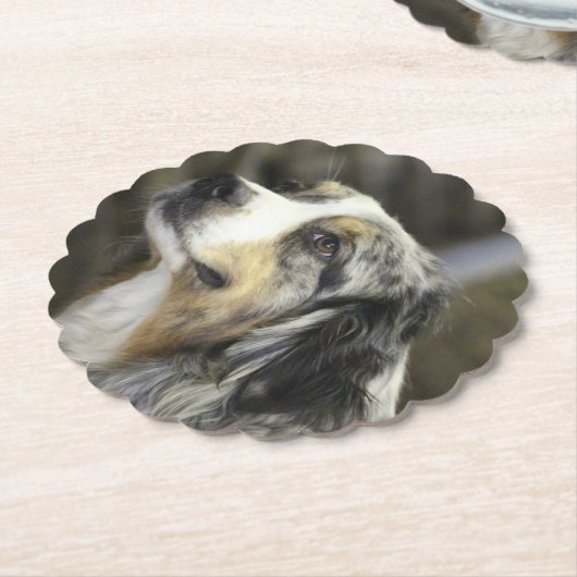 Aussie Untersetzer (angewinkelt)