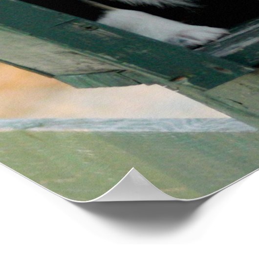 Aussie Wagon Fun Poster (Ecke)